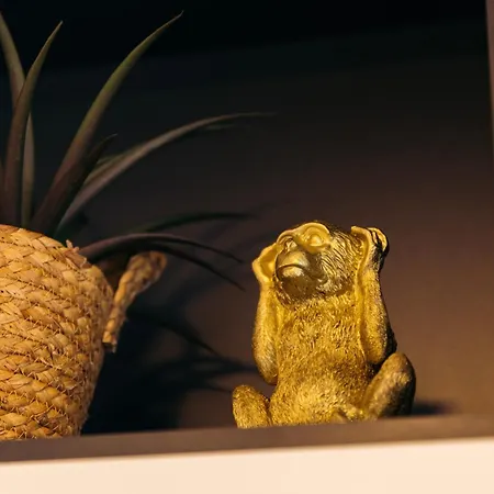 Sunchill Daire Pakoštane