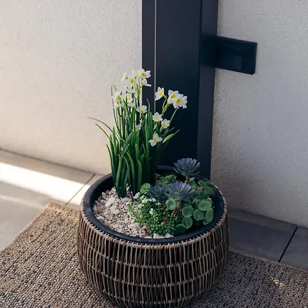 Apartment Sunchill Pakoštane